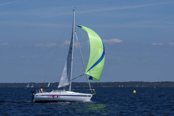 La solitaire – photo 136