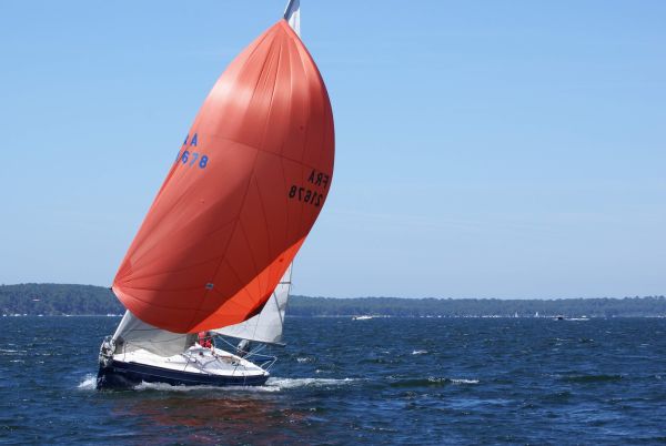 La solitaire – photo 140