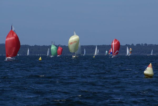 La solitaire – photo 45