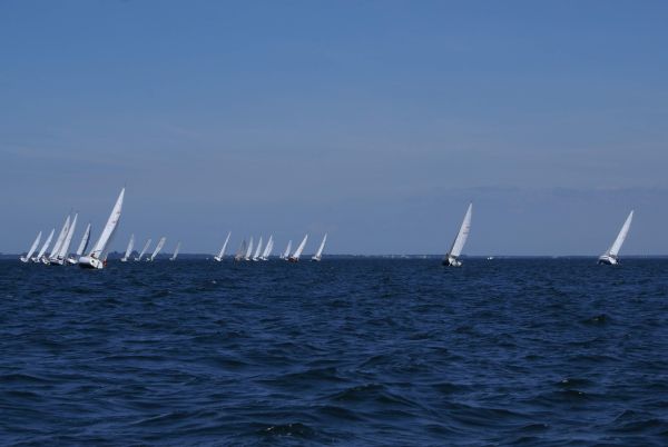 La solitaire – photo 44
