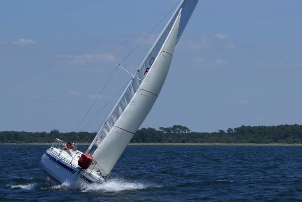 La solitaire – photo 91