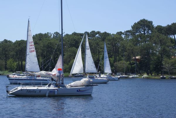 La solitaire – photo 13