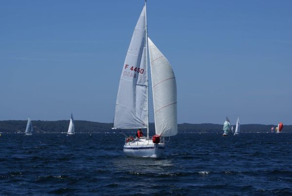 La solitaire – photo 63