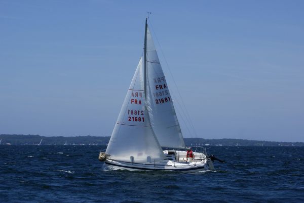 La solitaire – photo 111