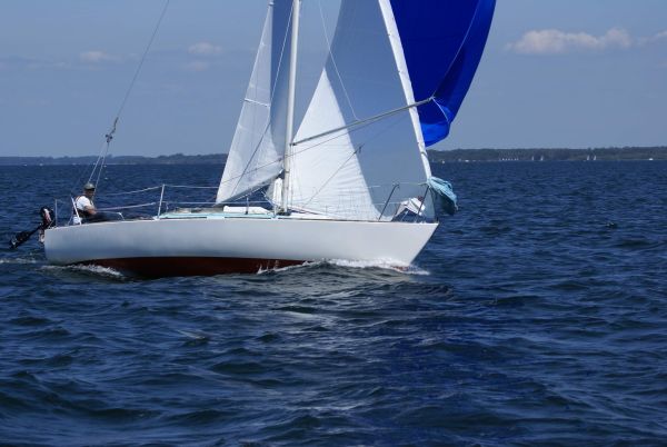 La solitaire – photo 126