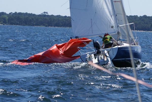 La solitaire – photo 142