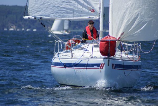 La solitaire – photo 64