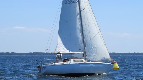 La solitaire – photo 52