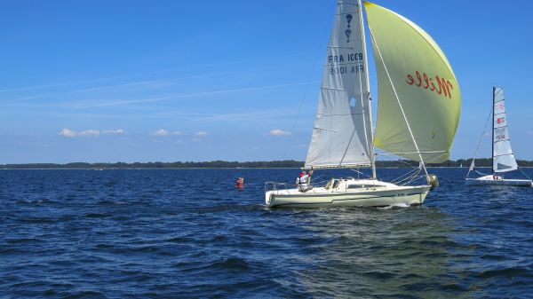 La solitaire – photo 63