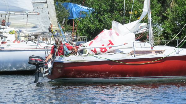 La solitaire – photo 26