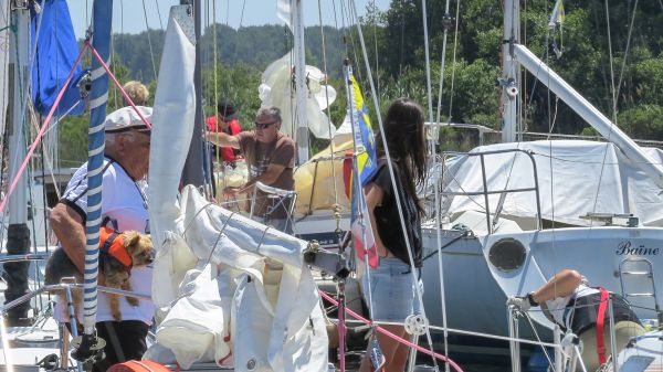 La solitaire – photo 21