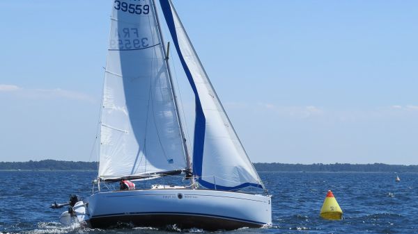 La solitaire – photo 53