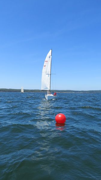 La solitaire – photo 45