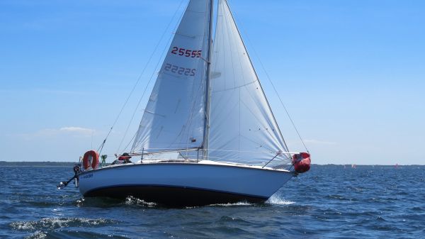 La solitaire – photo 57