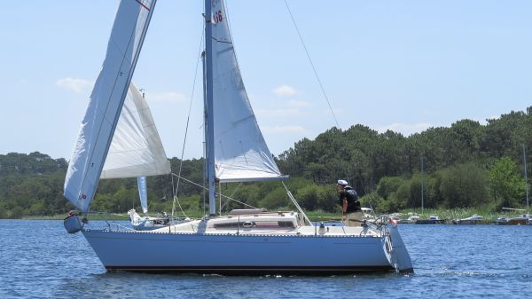 La solitaire – photo 38