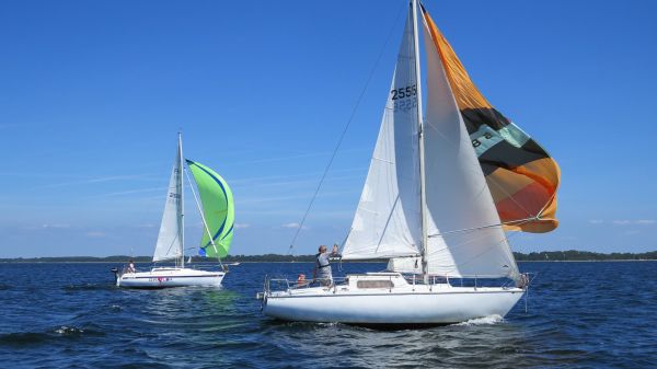 La solitaire – photo 71