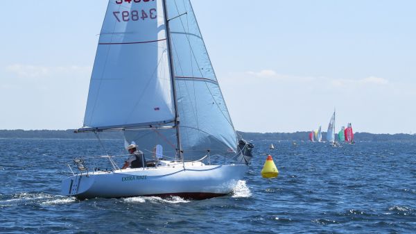 La solitaire – photo 50