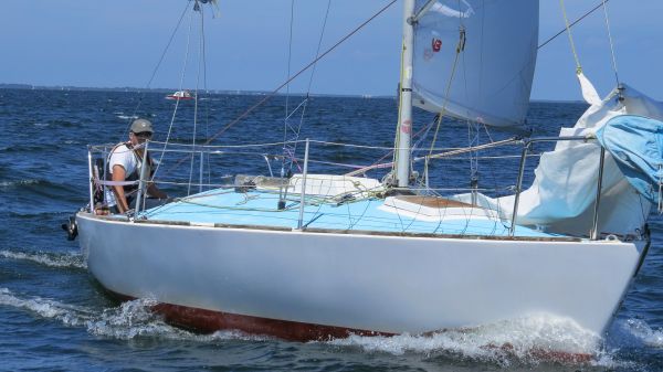 La solitaire – photo 65