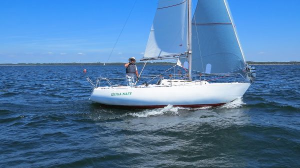 La solitaire – photo 69