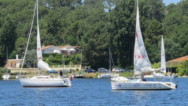 La solitaire – photo 36
