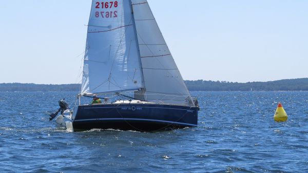 La solitaire – photo 56