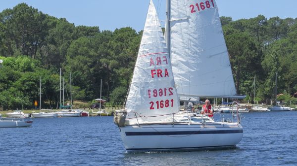 La solitaire – photo 35