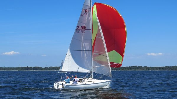 La solitaire – photo 67