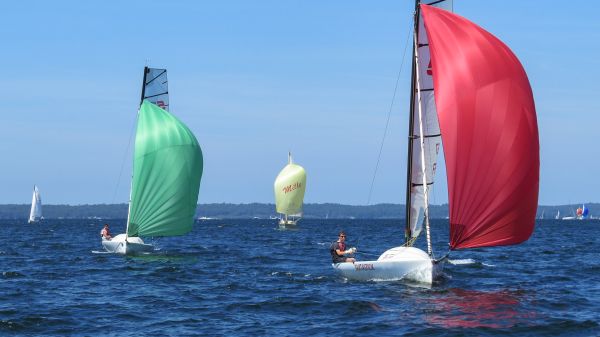 La solitaire – photo 62