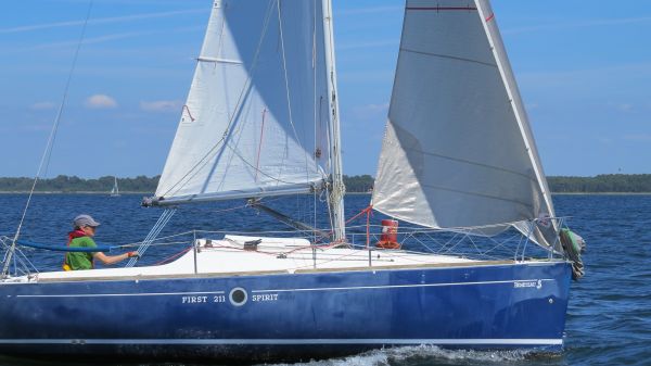 La solitaire – photo 74