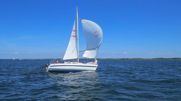 La solitaire – photo 73