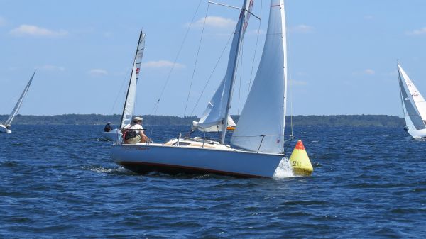 La solitaire – photo 48