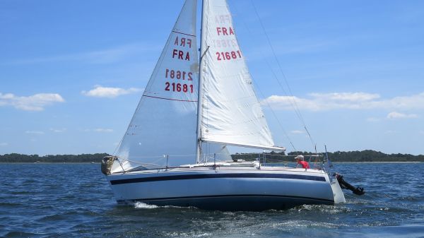 La solitaire – photo 44
