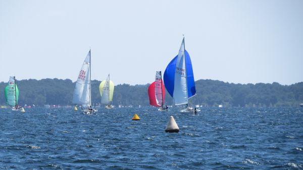 La solitaire – photo 55