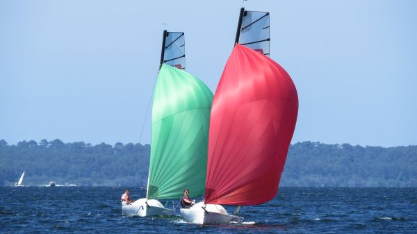 La solitaire – photo 61