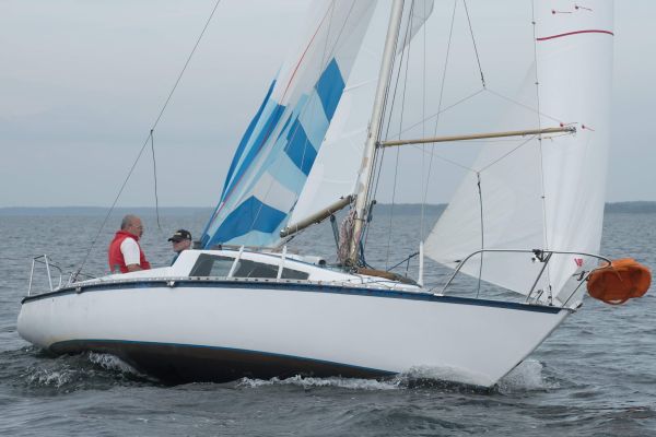 Trophée meltis – photo 54