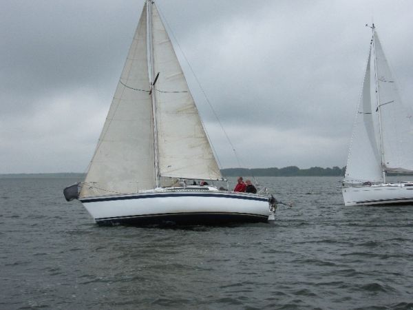 Régate d'été – photo 73