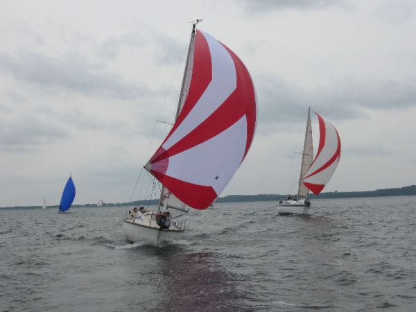Régate d'été – photo 97