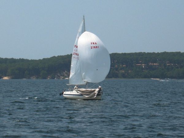 Régate d'été – photo 7
