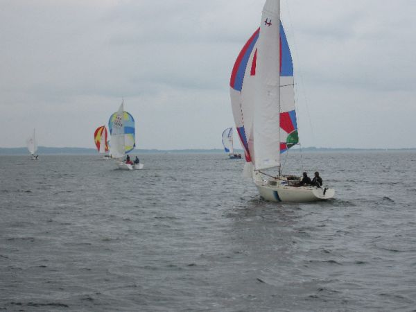 Régate d'été – photo 95