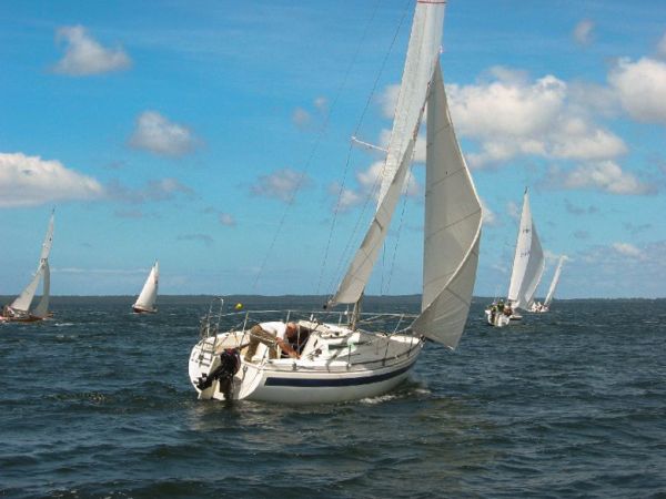 Saison 2005 – photo 8