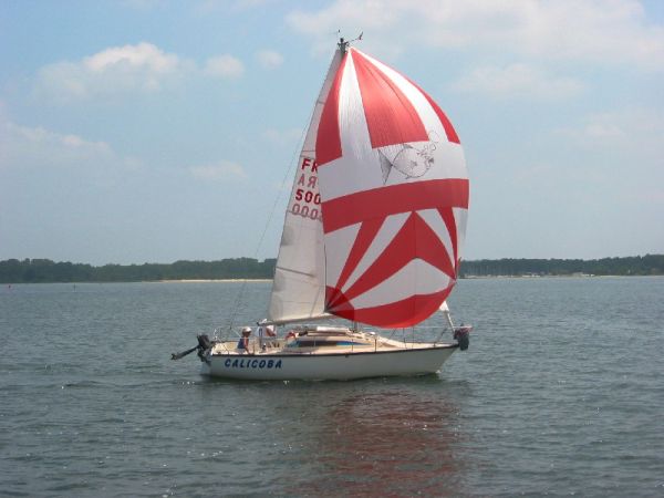 Saison 2005 – photo 35