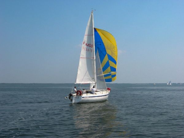 Saison 2005 – photo 38
