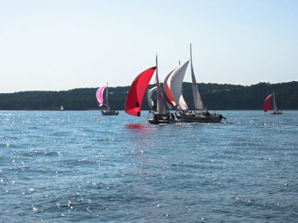 Championnat d'automne – photo 17