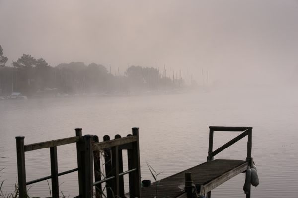 La conche à l'heure d'halloween – photo 4