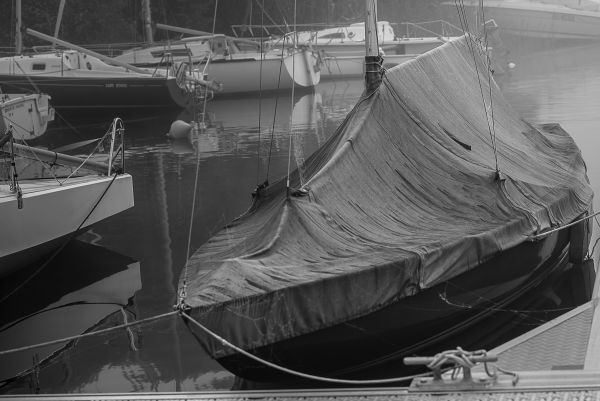 La conche à l'heure d'halloween – photo 28