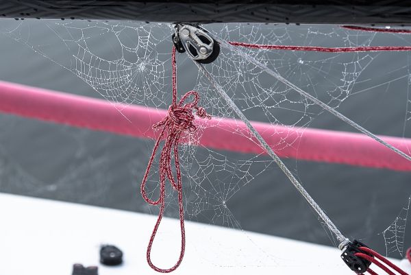 La conche à l'heure d'halloween – photo 18