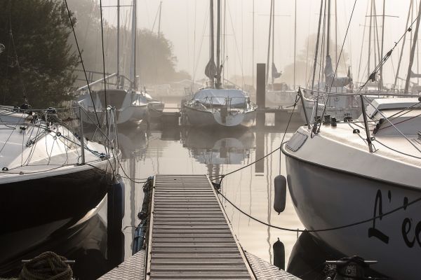 La conche à l'heure d'halloween – photo 16