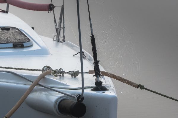 La conche à l'heure d'halloween – photo 10