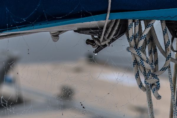 La conche à l'heure d'halloween – photo 24