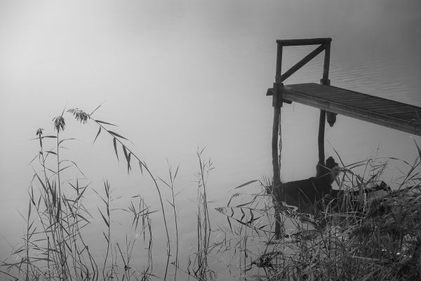 La conche à l'heure d'halloween – photo 7